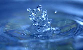 Aut quod ratione esse