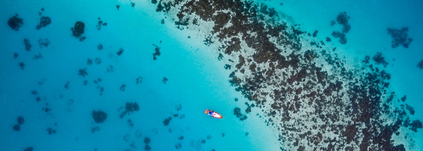 libero fuga veniam ut laudantium